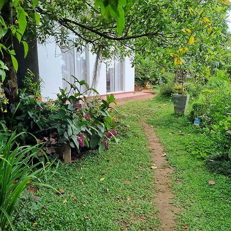 Hotel Squirrel'S Nest Kandy Exterior foto