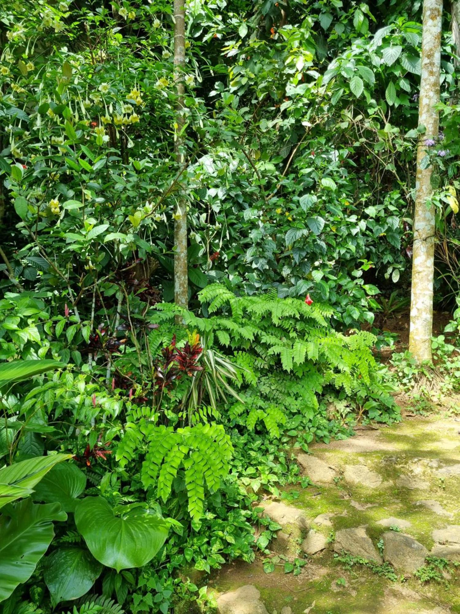Hotel Squirrel'S Nest Kandy Exterior foto